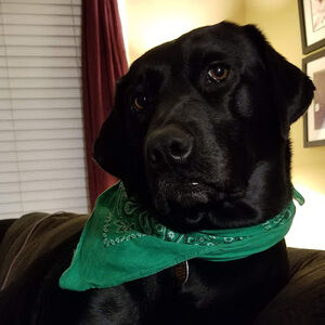 Meet your Posher, Christine mary